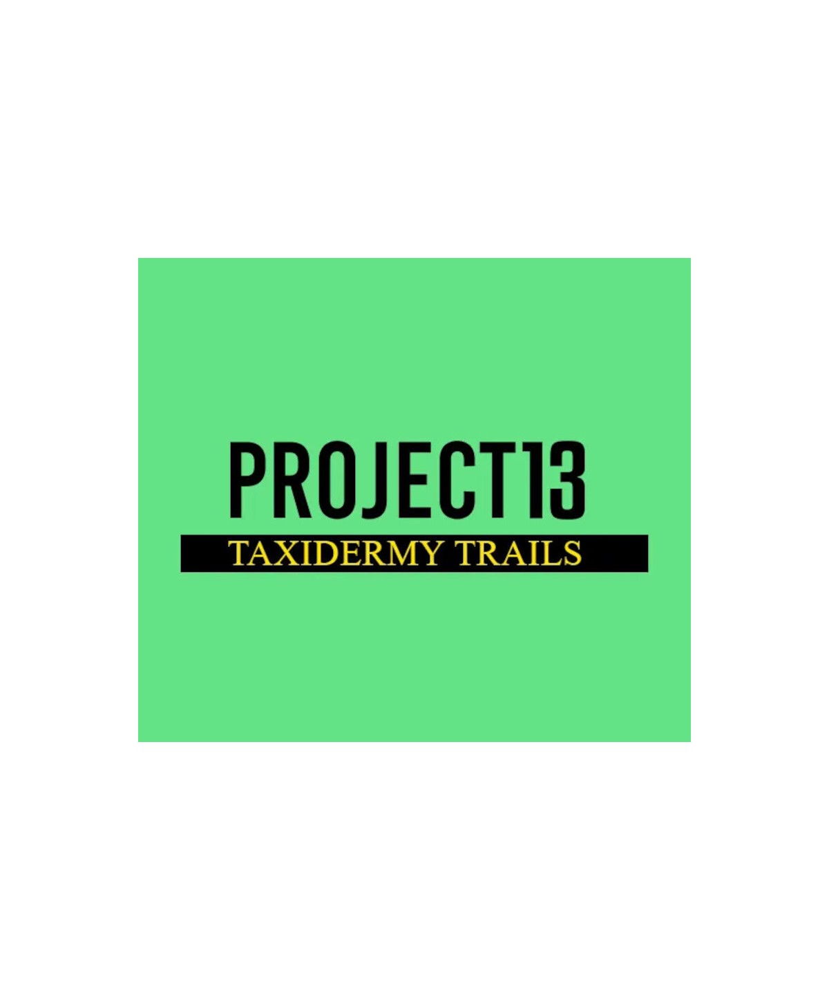 Project 13: Taxidermy Trails PS5 Steam Key EUROPE